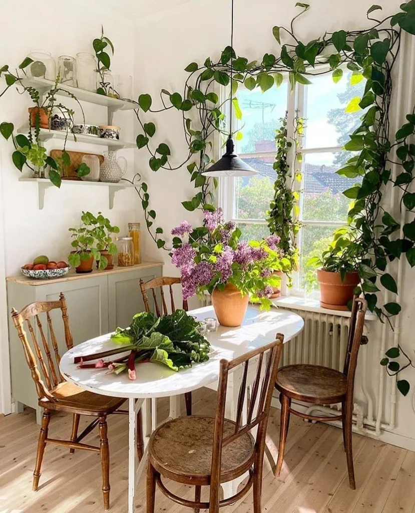 A Green Oasis for Dining